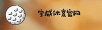 宝威(BWSPORT)官方网站 · 专业体育 · B2X8